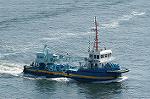 Dcim2157/DSC_6137