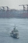 Dcim2157/DSC_6144