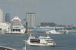 Dcim2157/DSC_6161