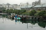Dcim2186/DSC_8293