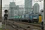 Dcim2186/DSC_8295