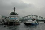 Dcim2186/DSC_8333