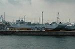 Dcim2187/DSC_8462