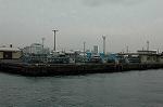 Dcim2187/DSC_8478