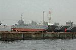 Dcim2189/DSC_8607