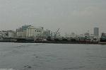 Dcim2189/DSC_8615