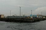 Dcim2189/DSC_8618