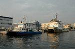 Dcim2189/DSC_8677