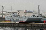 Dcim2190/DSC_6609