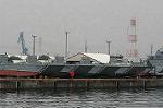Dcim2190/DSC_6612