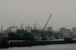 Dcim2190/DSC_6658