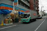 Dcim2203/DSC_9501