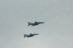 Dcim2211/DSC_0249