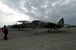 Dcim2214/DSC_0617