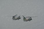 Dcim2216/DSC_7154