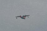 Dcim2217/DSC_7256