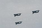 Dcim2217/DSC_7286