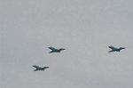 Dcim2217/DSC_7294