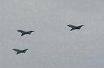 Dcim2217/DSC_7295
