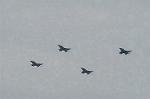 Dcim2217/DSC_7302