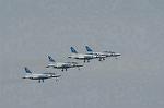 Dcim2219/DSC_7445