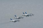 Dcim2219/DSC_7446