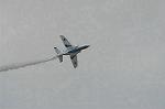 Dcim2219/DSC_7501
