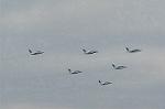 Dcim2220/DSC_7527