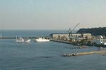Dcim2223/DSC_0884