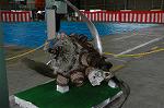 Dcim2226/DSC_1005