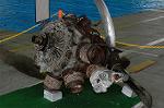 Dcim2226/DSC_1027