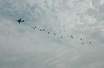 Dcim2227/DSC_1097