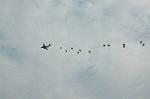Dcim2227/DSC_1109