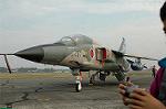 Dcim2229/DSC_1332