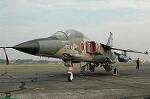Dcim2229/DSC_1333