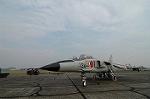 Dcim2229/DSC_1355