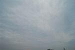Dcim2229/DSC_1397