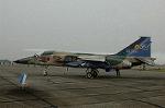 Dcim2229/DSC_1420