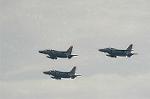 Dcim2230/DSC_7650