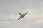 Dcim2230/DSC_7745