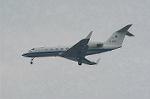 Dcim2231/DSC_7774