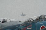 Dcim2231/DSC_7833
