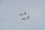 Dcim2232/DSC_7880