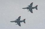 Dcim2232/DSC_7893