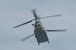 Dcim2232/DSC_7921