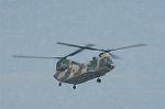 Dcim2232/DSC_7931