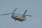 Dcim2232/DSC_7942