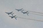 Dcim2233/DSC_7995