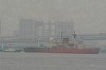 Dcim2260/DSC_8256