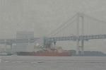 Dcim2260/DSC_8258